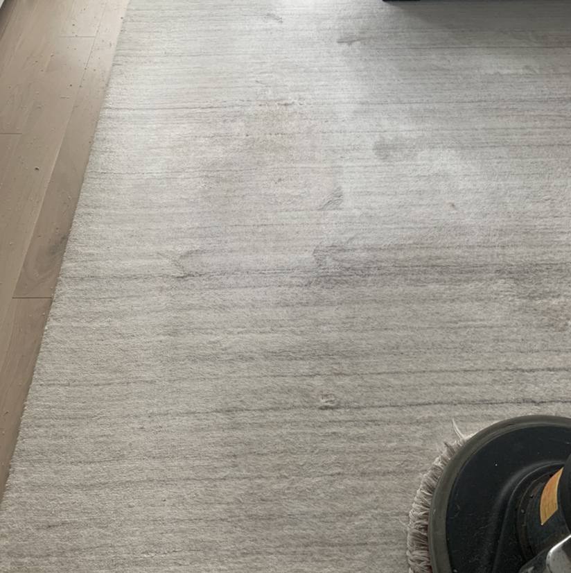 Evergreen Carpet & Upholstery Cleaning Reviews Clifton, NJ Angi
