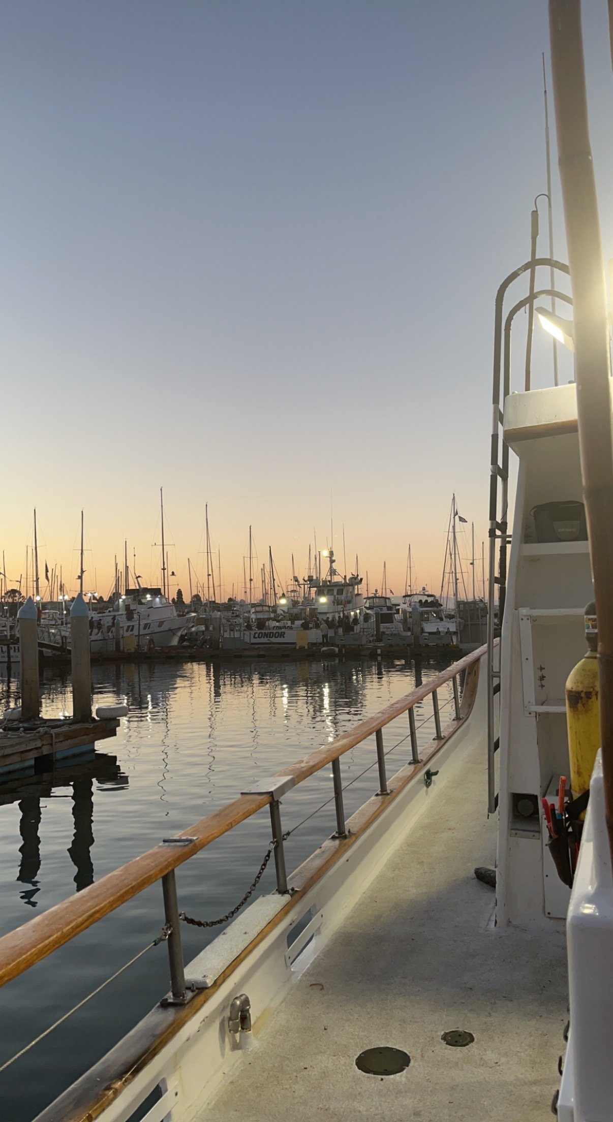 Avatar for Chamberlins fencing