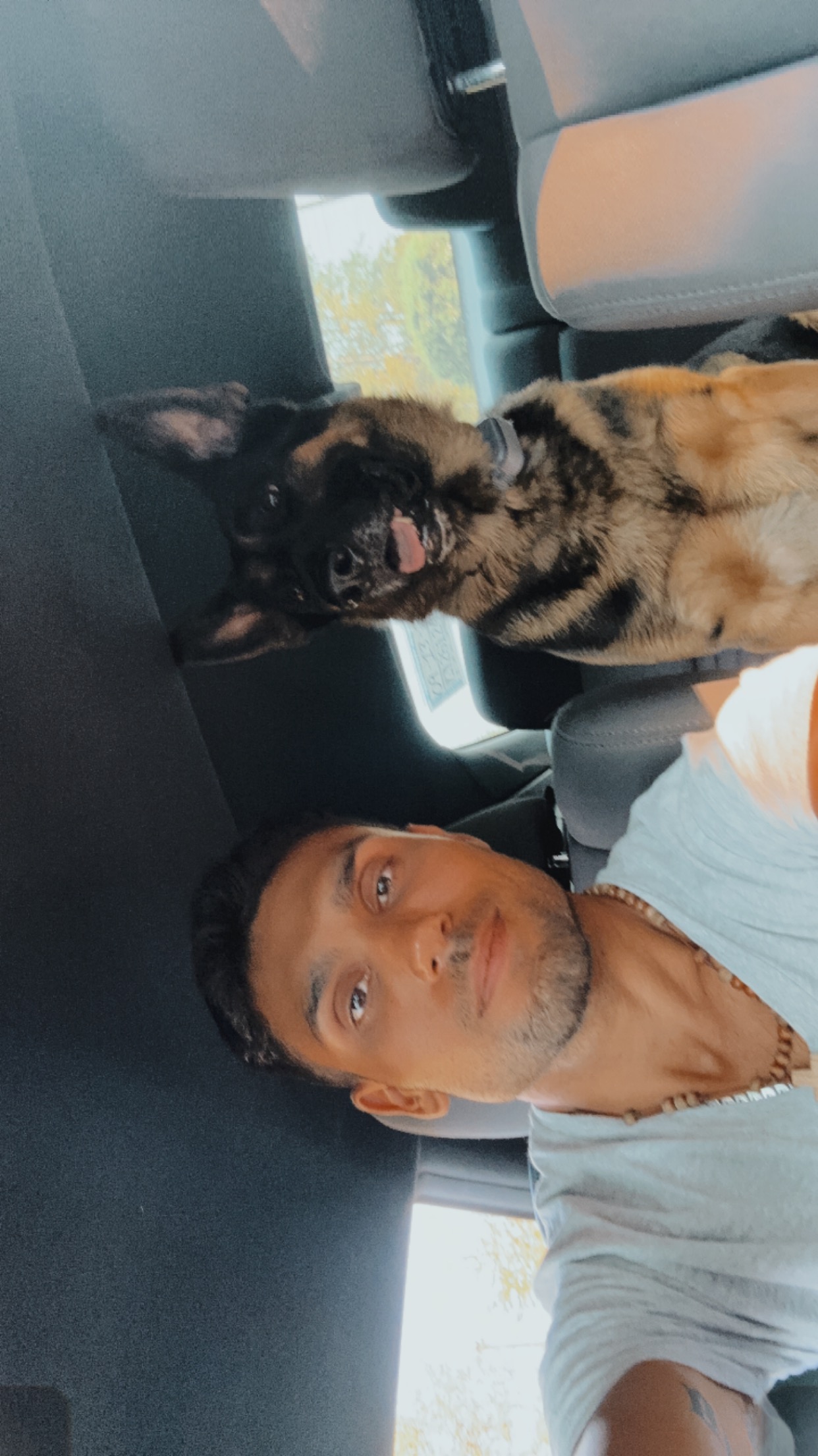 Avatar for Earth Benders landscape