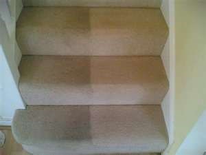 carpet cleaning