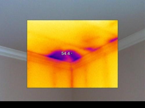 EC-IR Mold Testing and Inspection logo