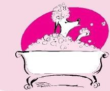 Pawsattraction LLC logo