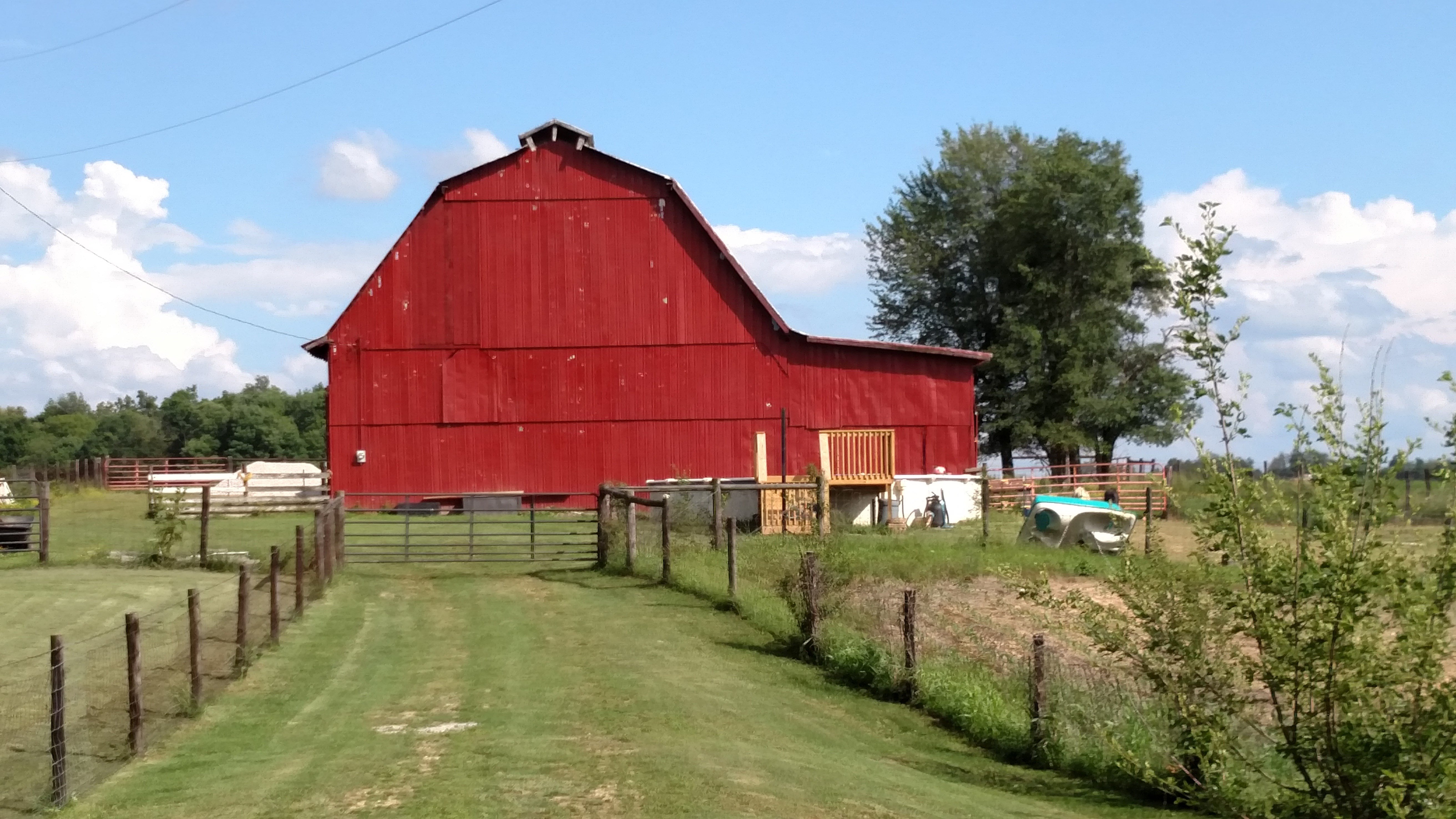 Avatar for Ky Barn Finds