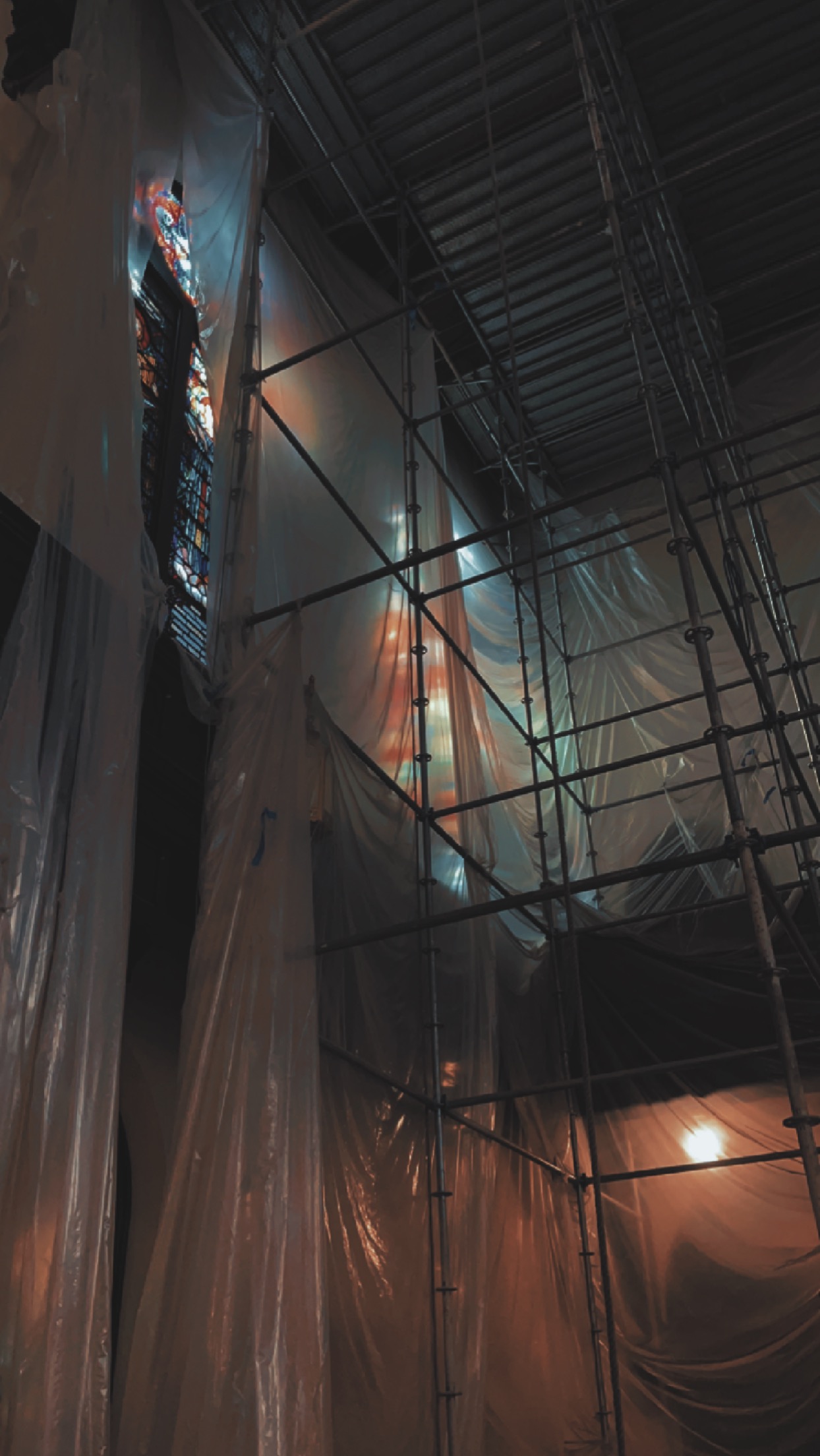 Avatar for SheBuilds