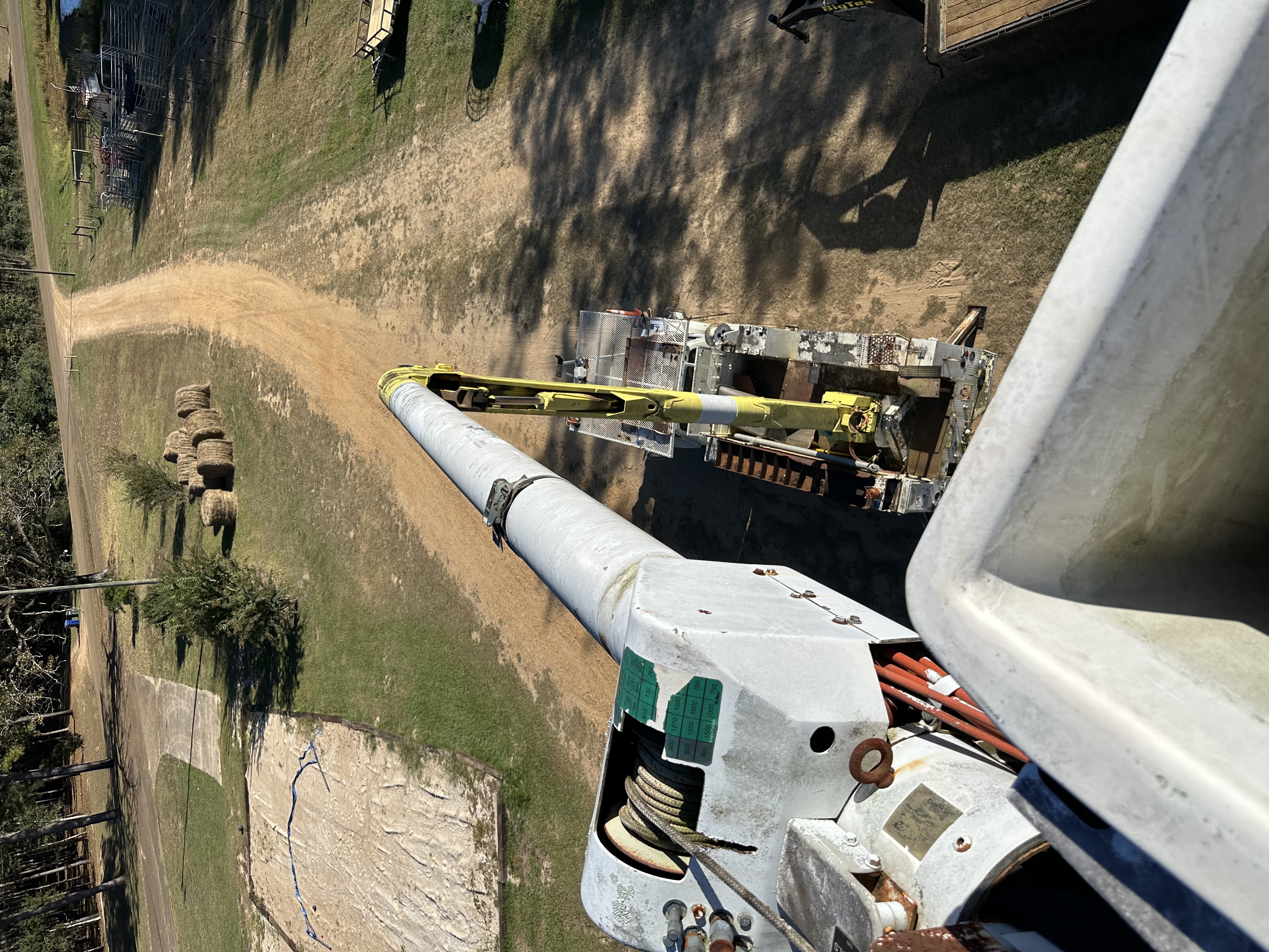 Avatar for Sharps tree removal