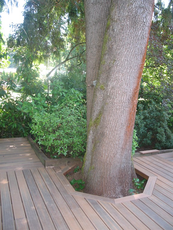 Tree Wrap-Around