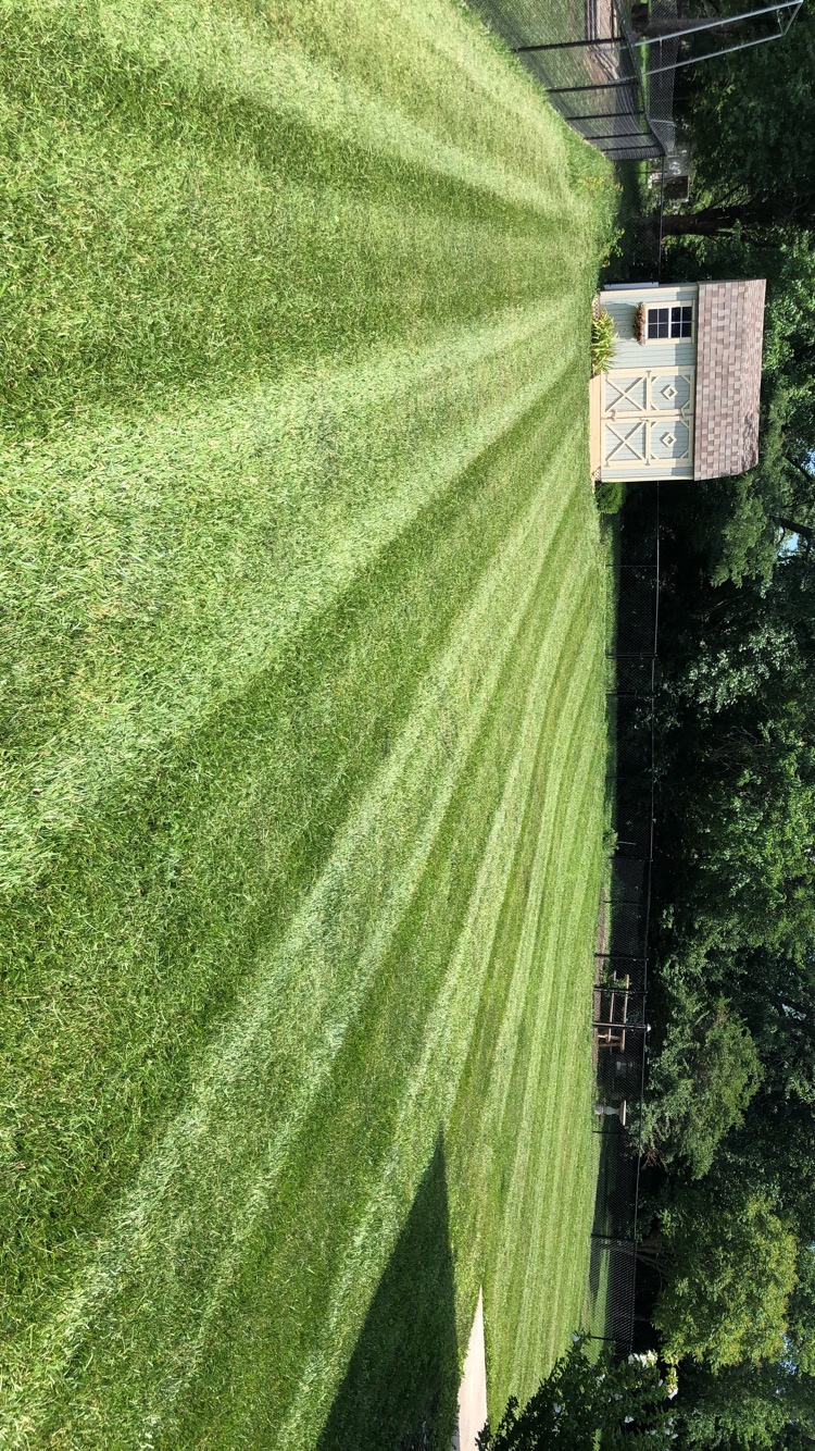 Avatar for Schwant Lawn