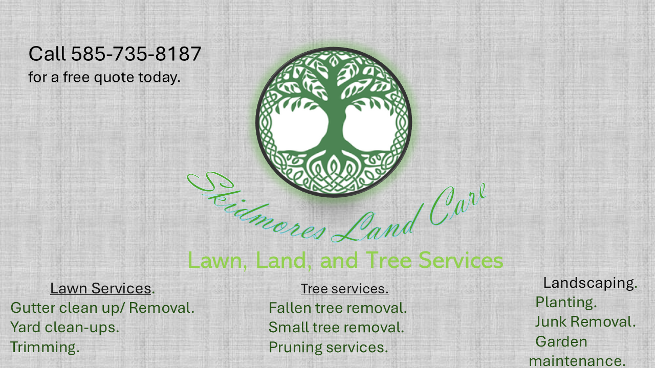 Avatar for Skidmores Land Care