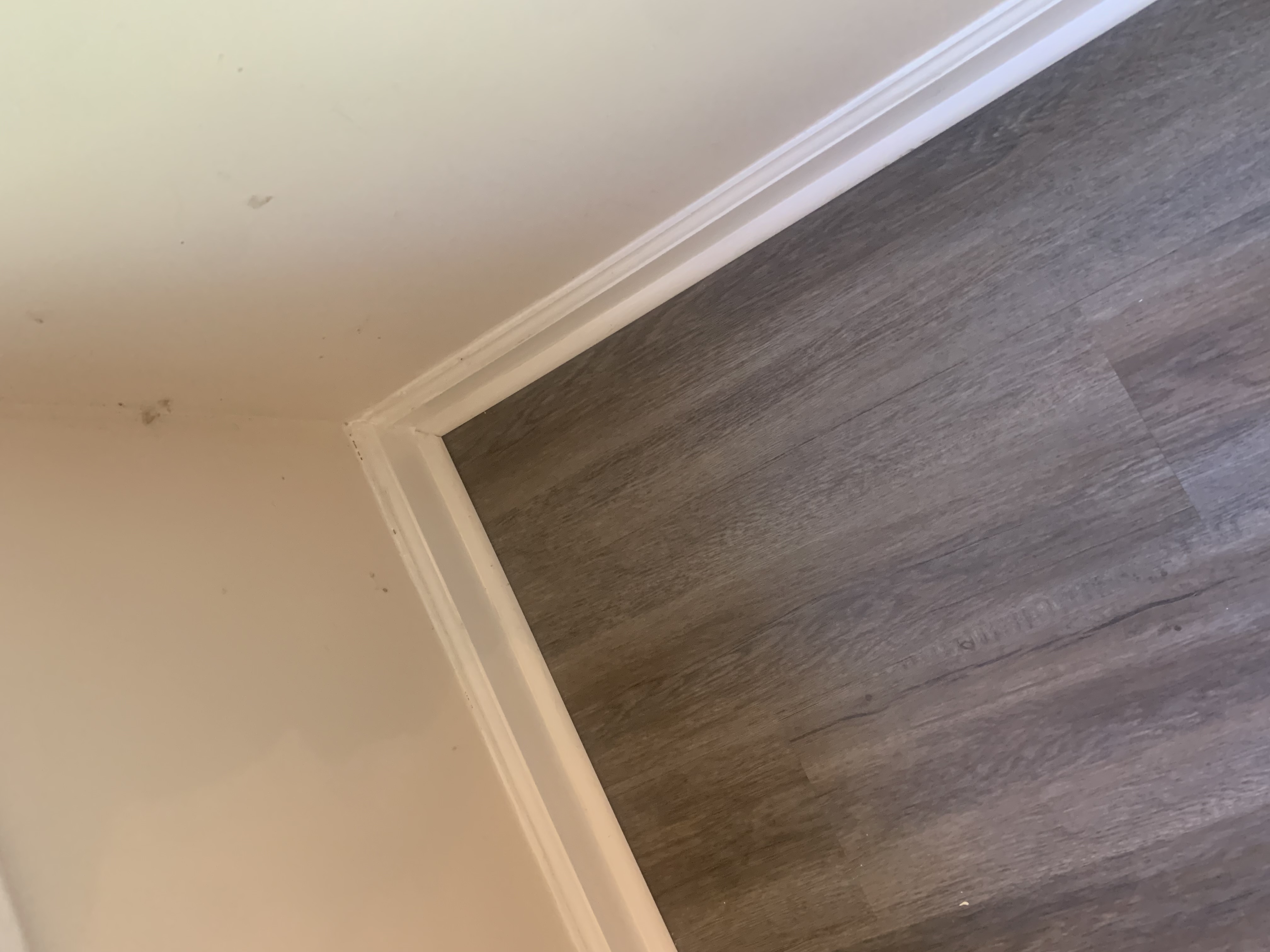 Avatar for Clays Handyman service