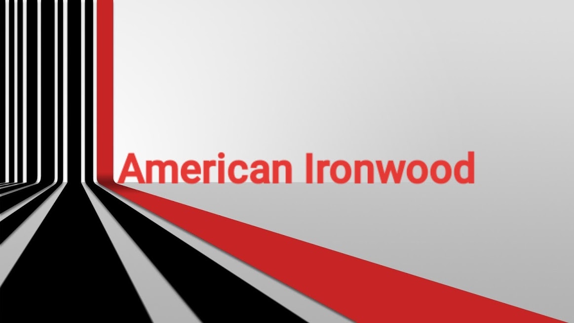 Avatar for American Ironwood