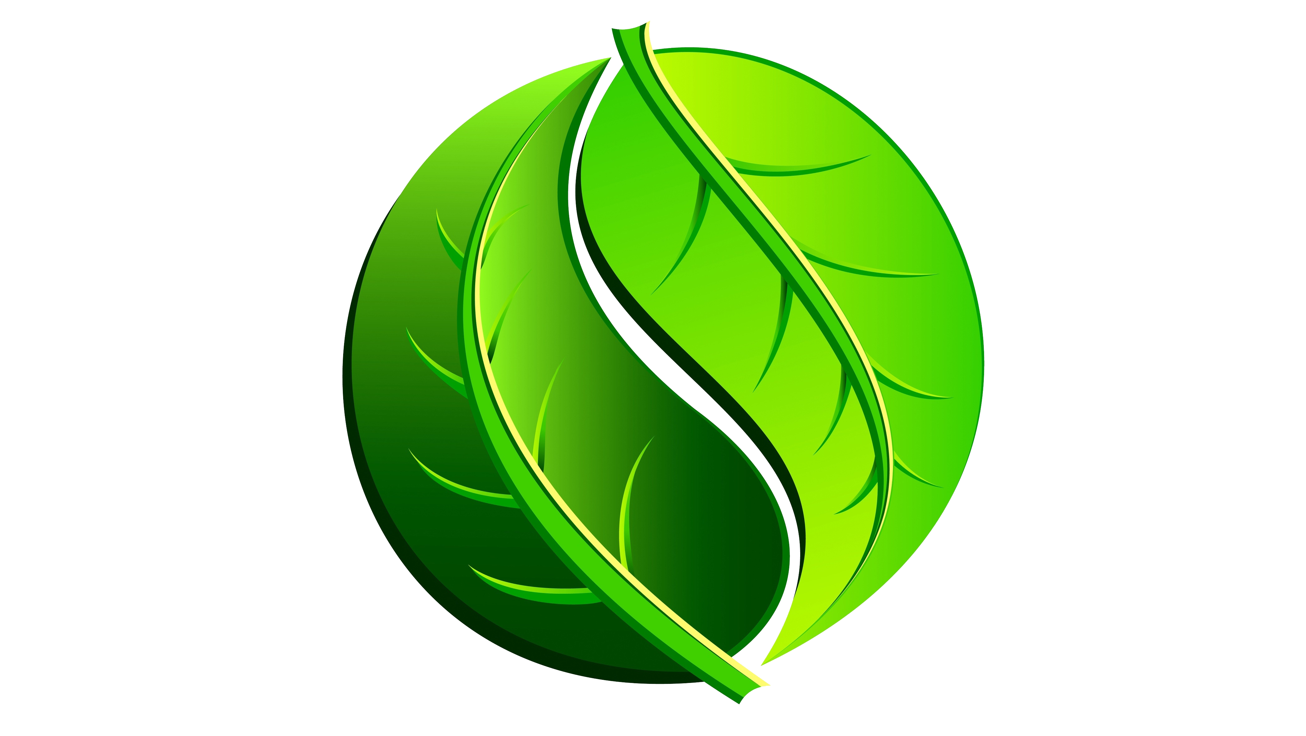Avatar for BEST CHOICE LAWN AERATION