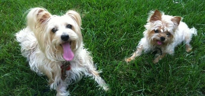 Avatar for Bio Green Ohio