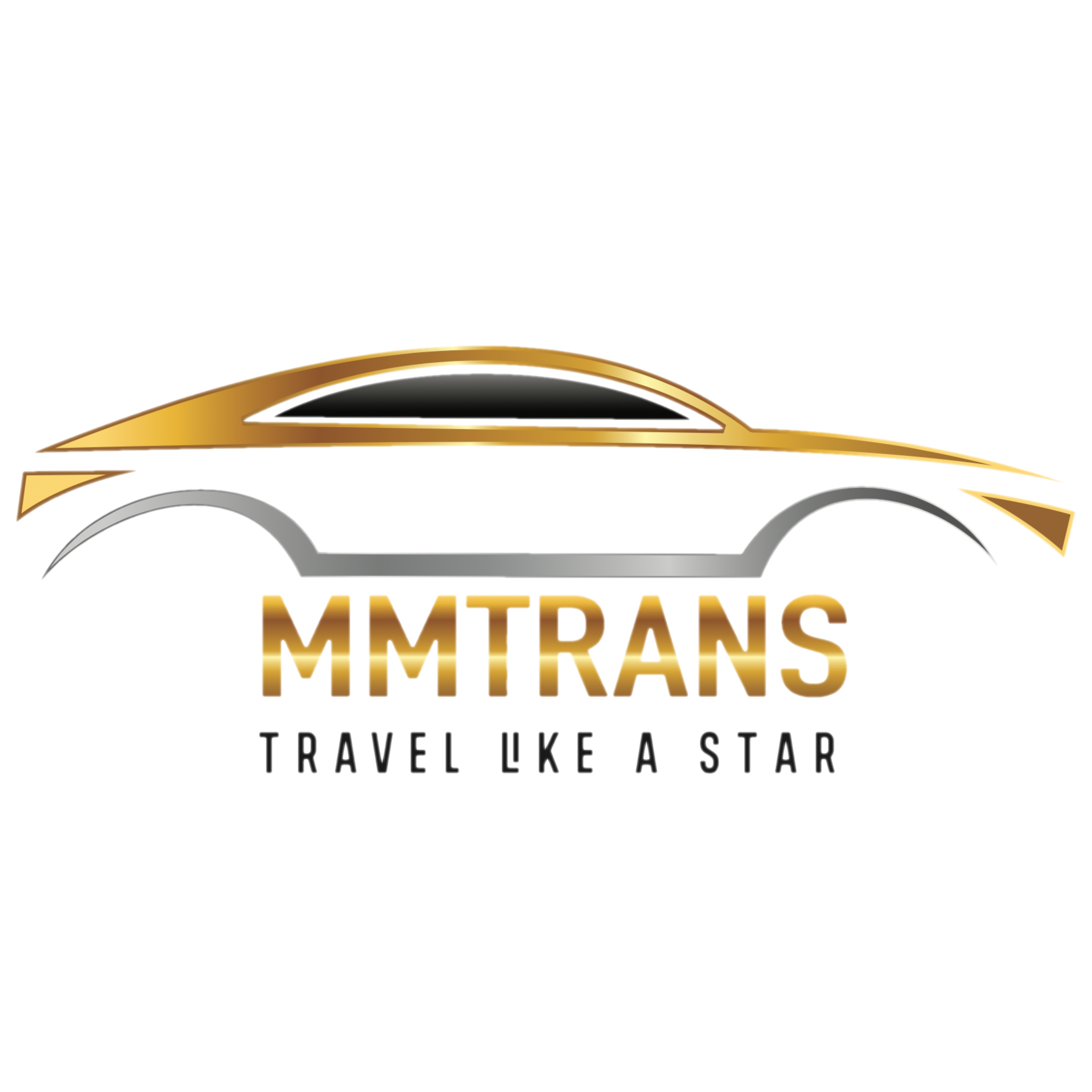 Avatar for MM Trans
