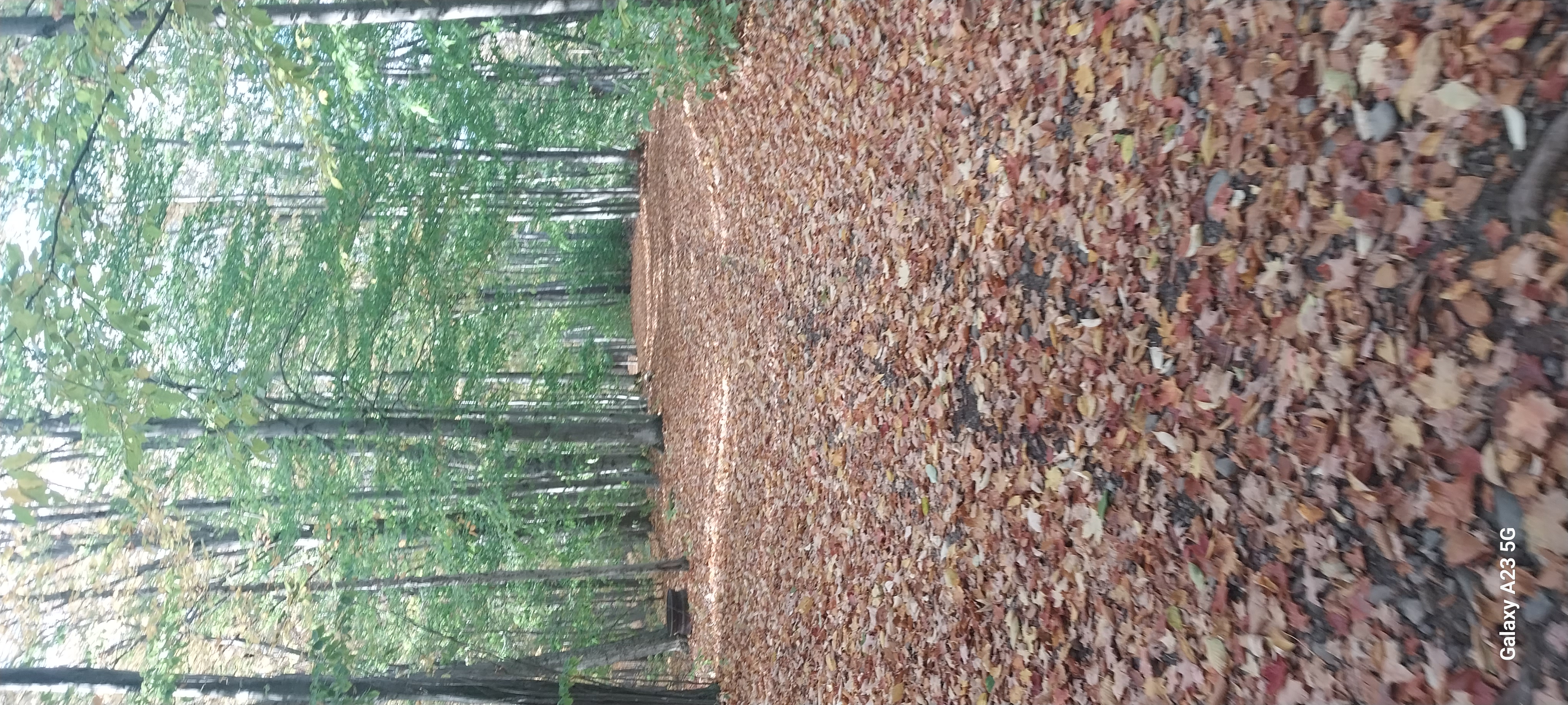 Avatar for J & D Gutter Cleaning