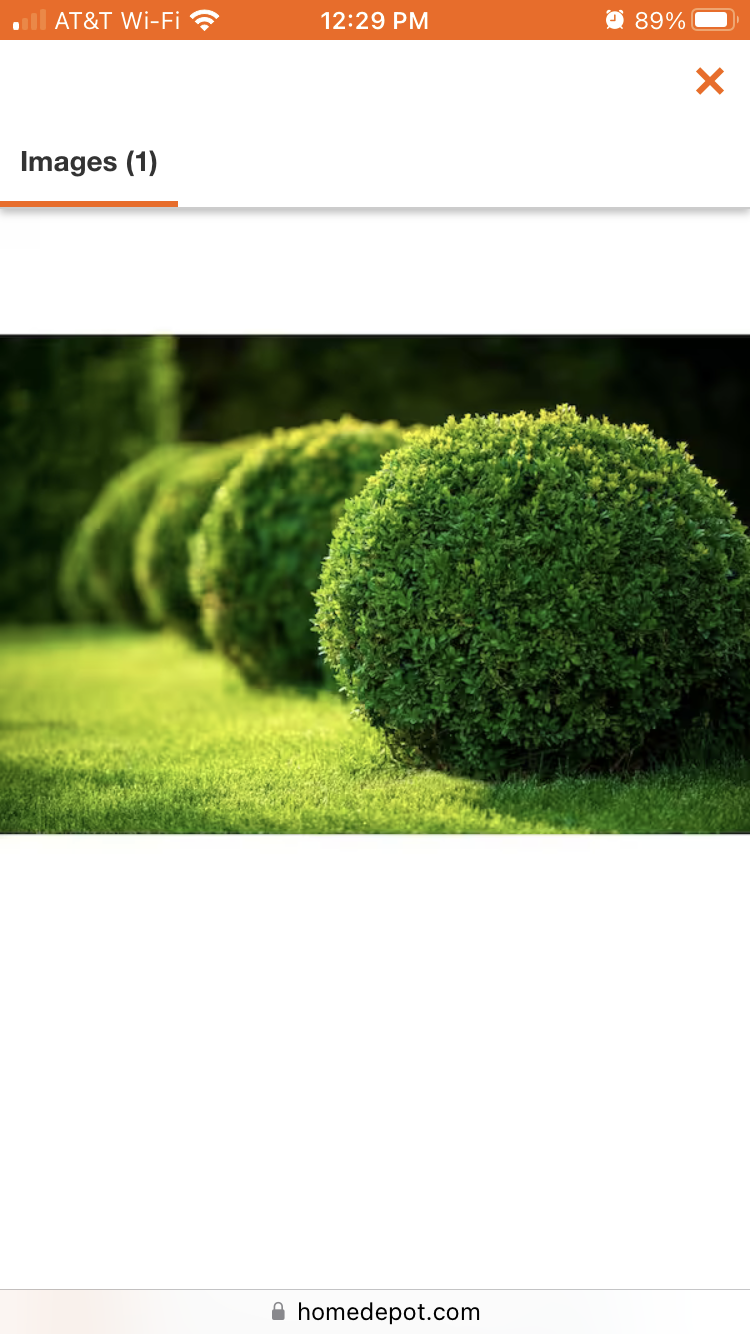 Avatar for Banks lawn and landscape