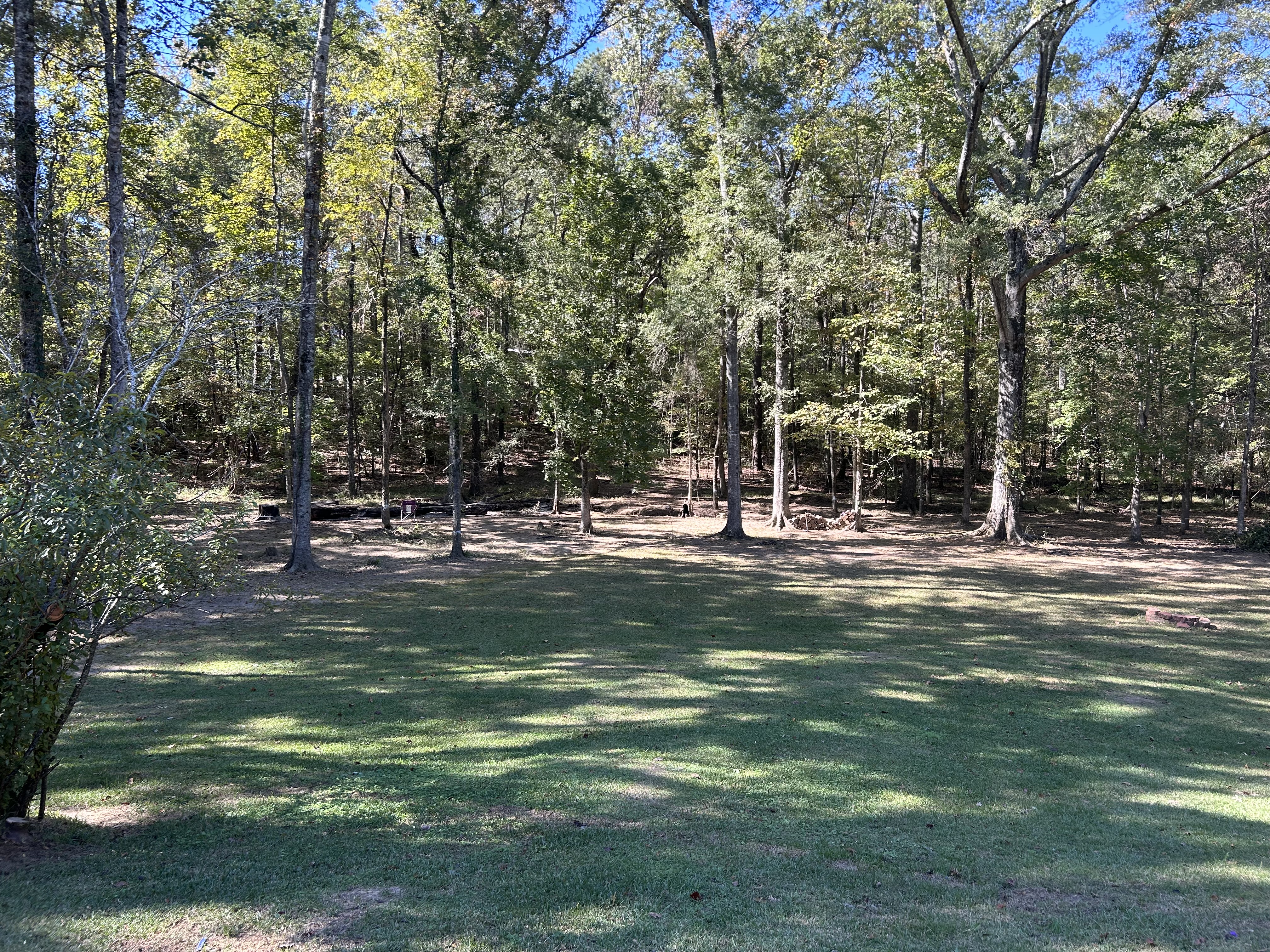 Avatar for TC. Property management