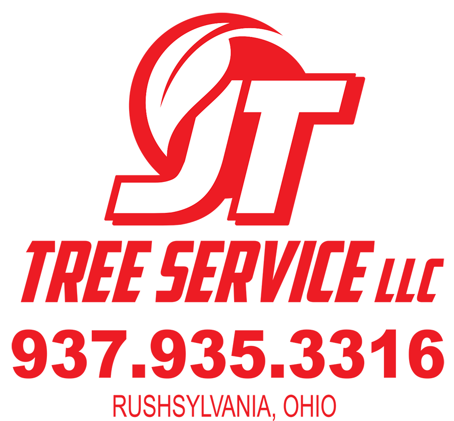 Avatar for JT Tree Service LLC