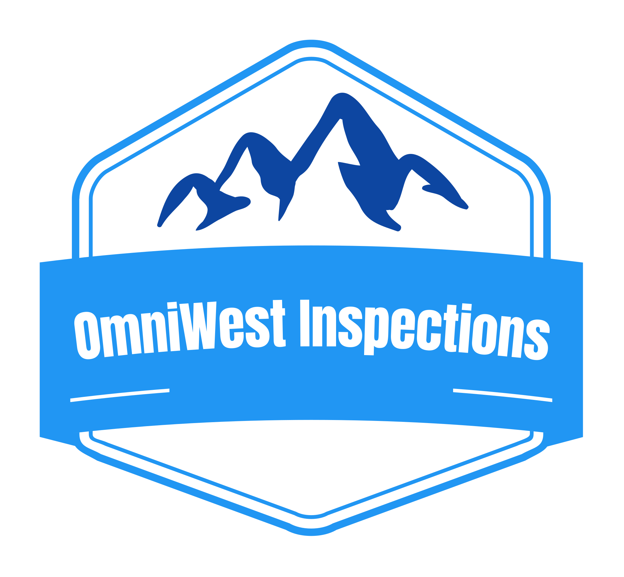 Avatar for OmniWest Inspections