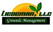 Tiedeman, LLC logo