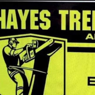 Avatar for Hayes tree services