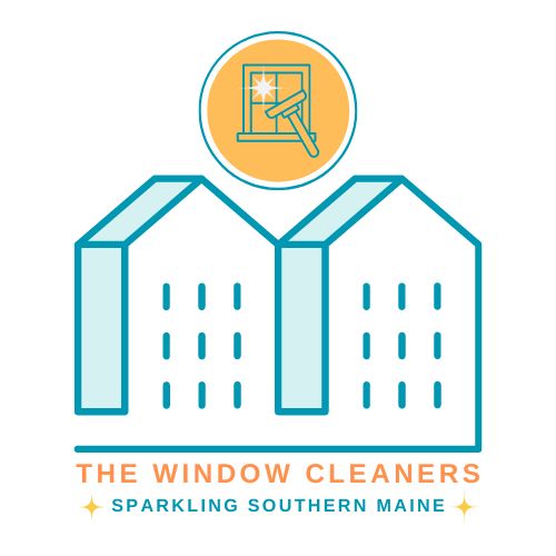 Avatar for The Window Cleaners