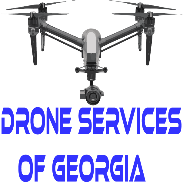 Drone Services of Georgia logo