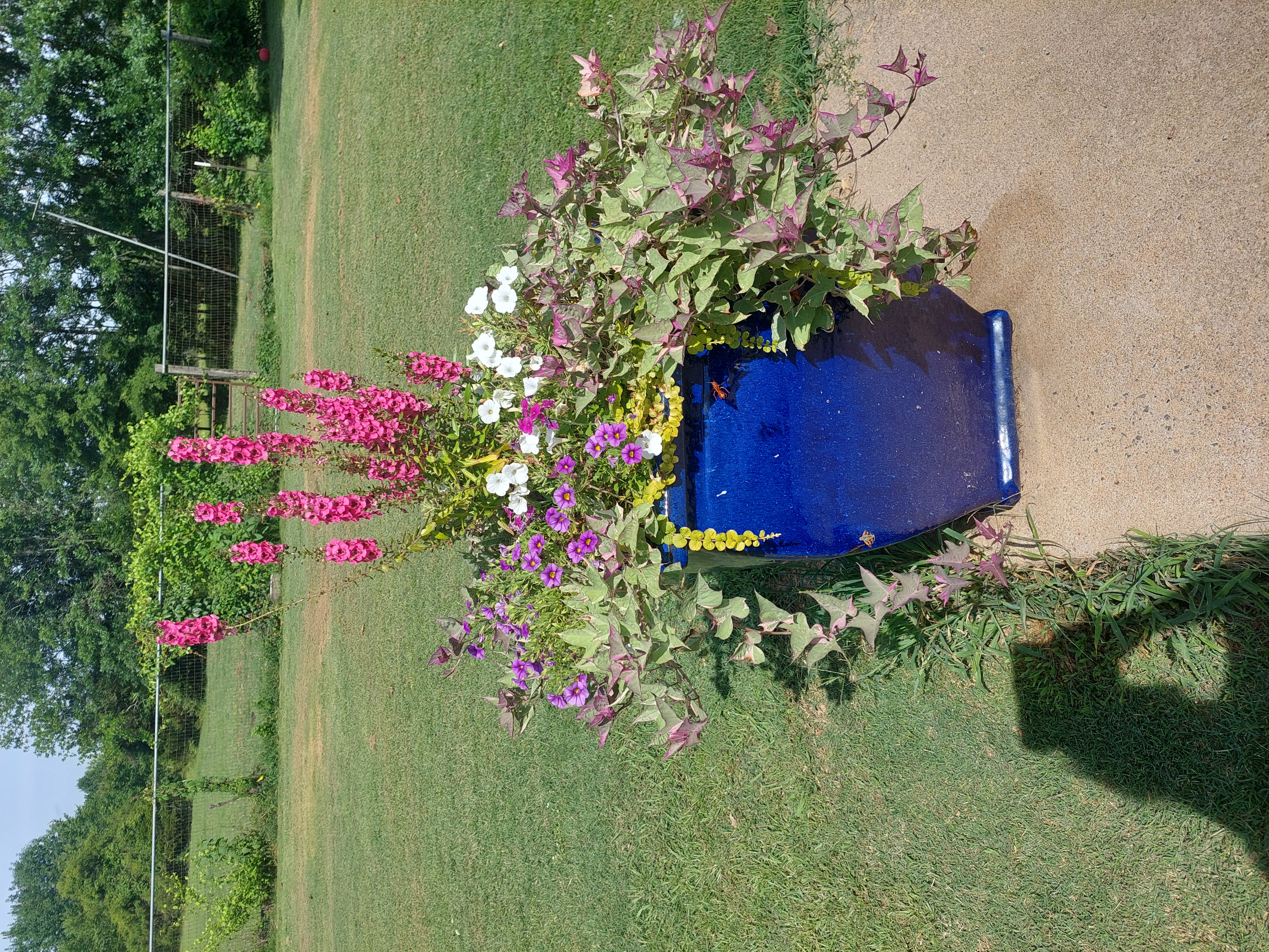 Avatar for R&L Designs