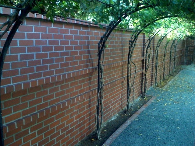 Avatar for PAUL R SCHICKEL