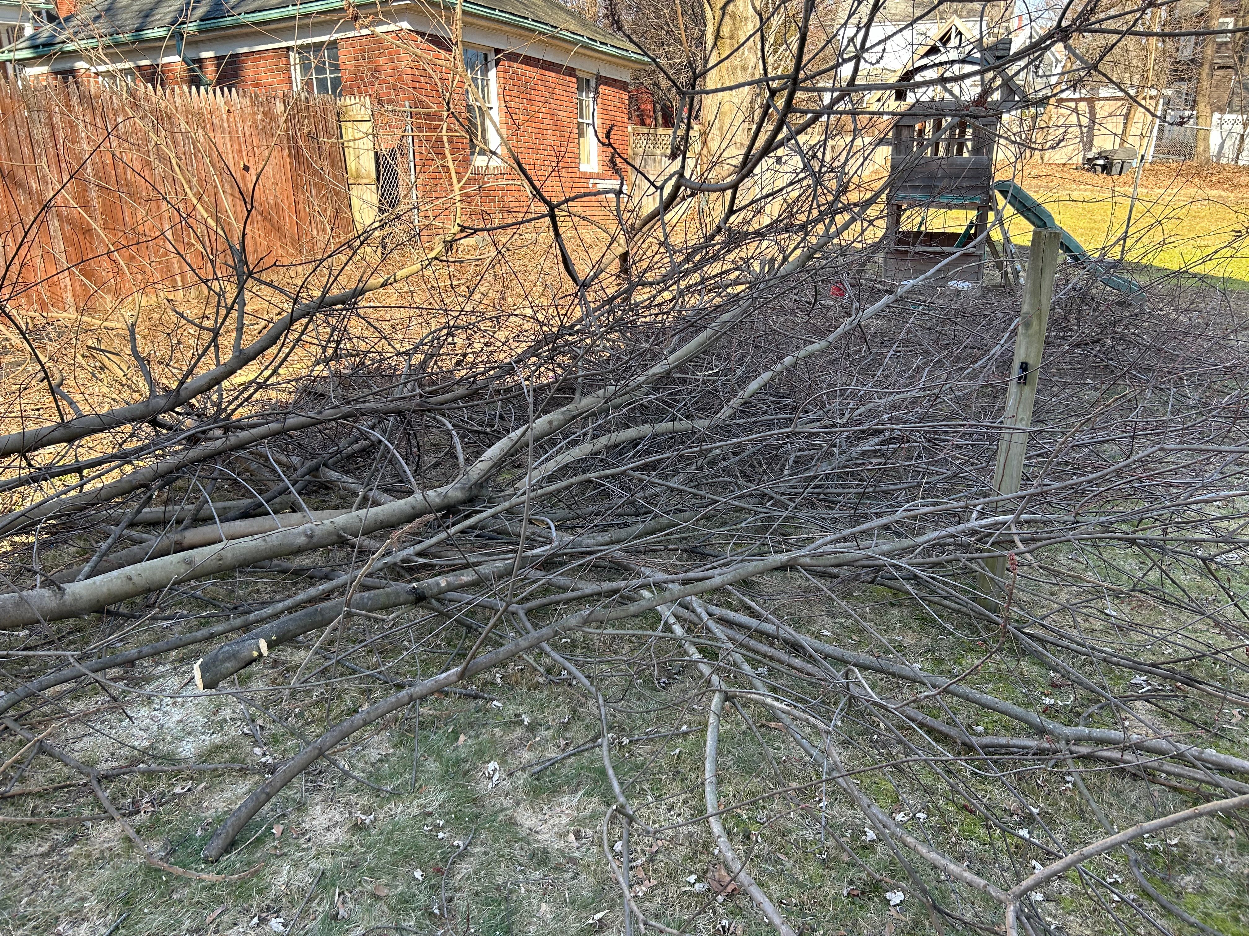 Avatar for J&Js Junk removal