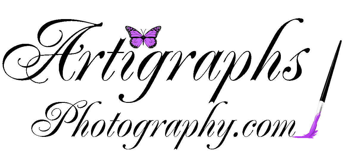 Logo for Artigraphs Photography