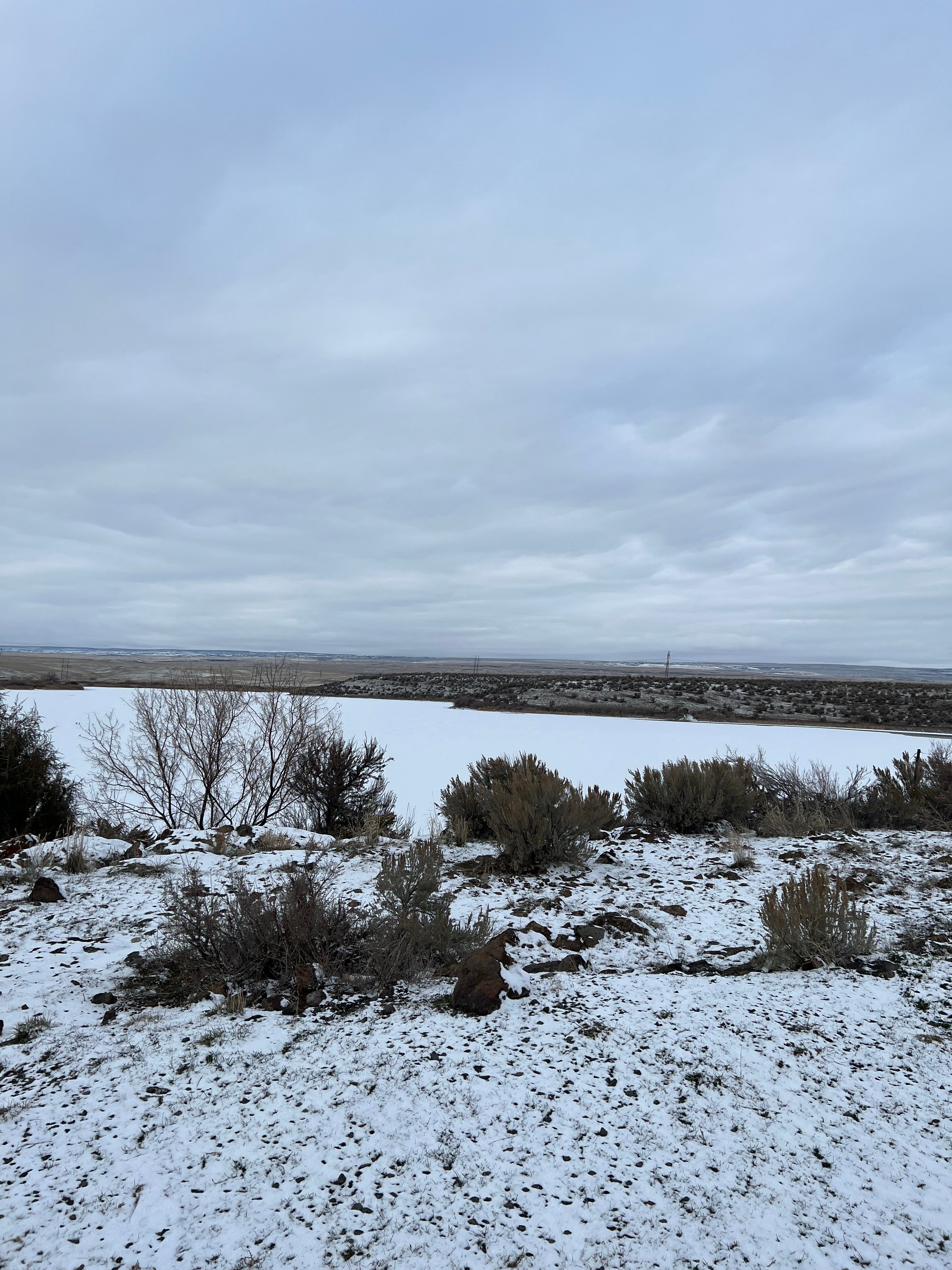 Avatar for Geramowing