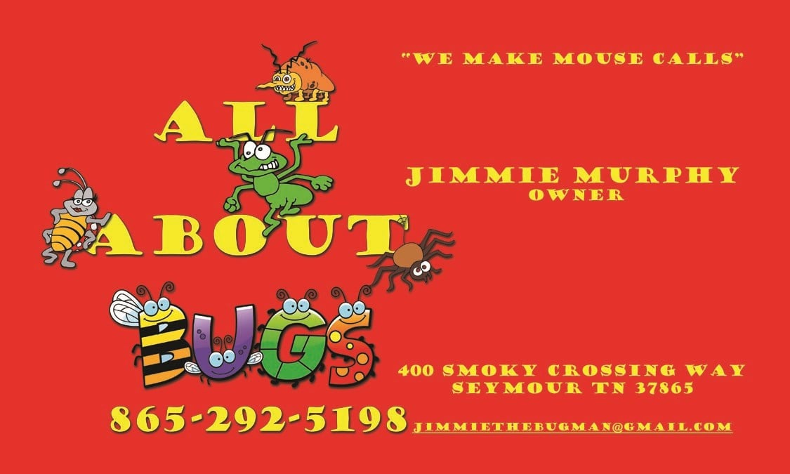 Logo for All About Bugs