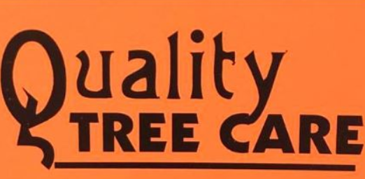 Top 4 Best Tree Removal Services In Savannah Tn Angi Angie S List