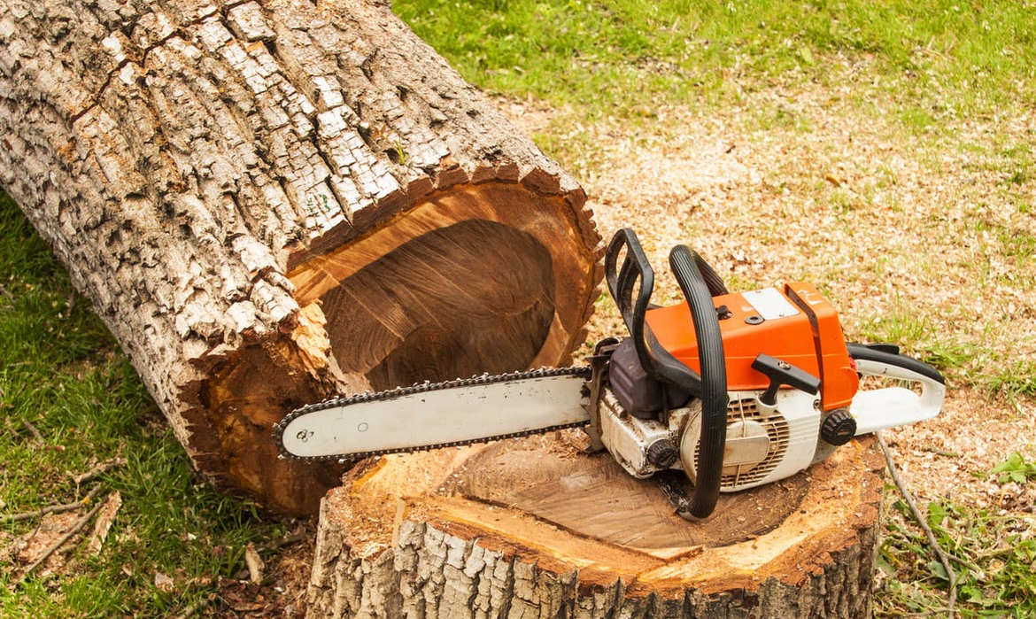 Avatar for All Season Tree Service LLC