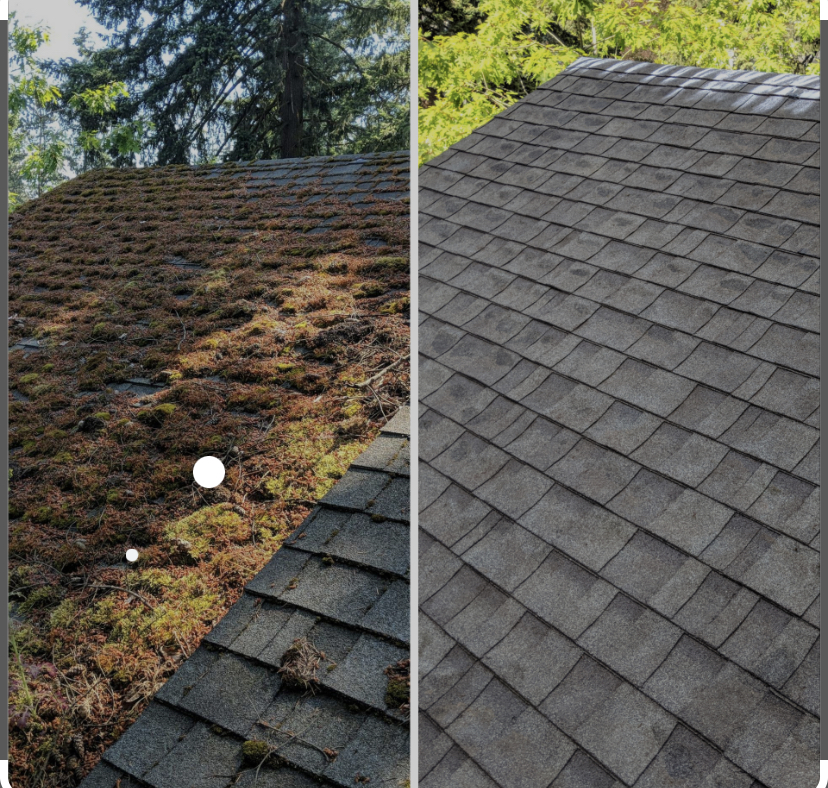 Avatar for Roof and gutter care