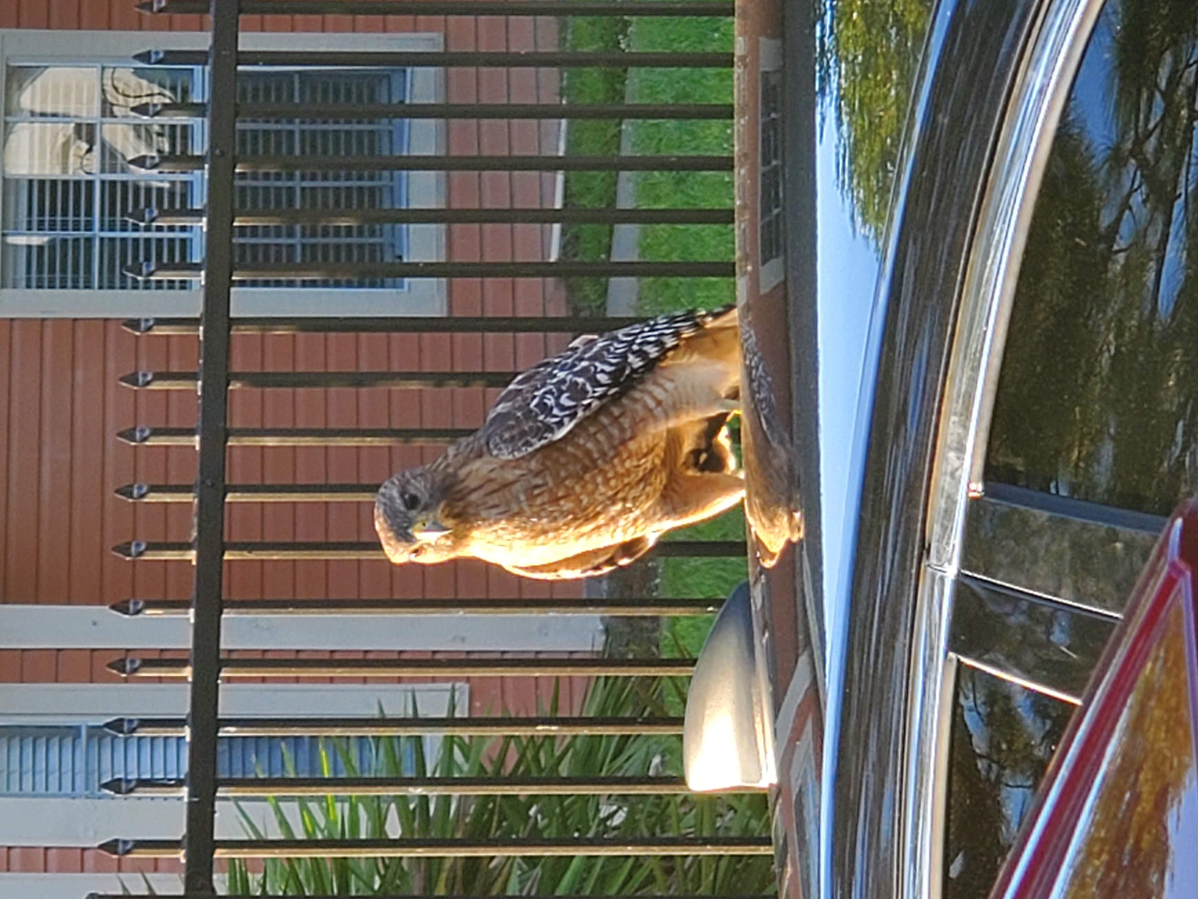 Avatar for Hawk Interior Services