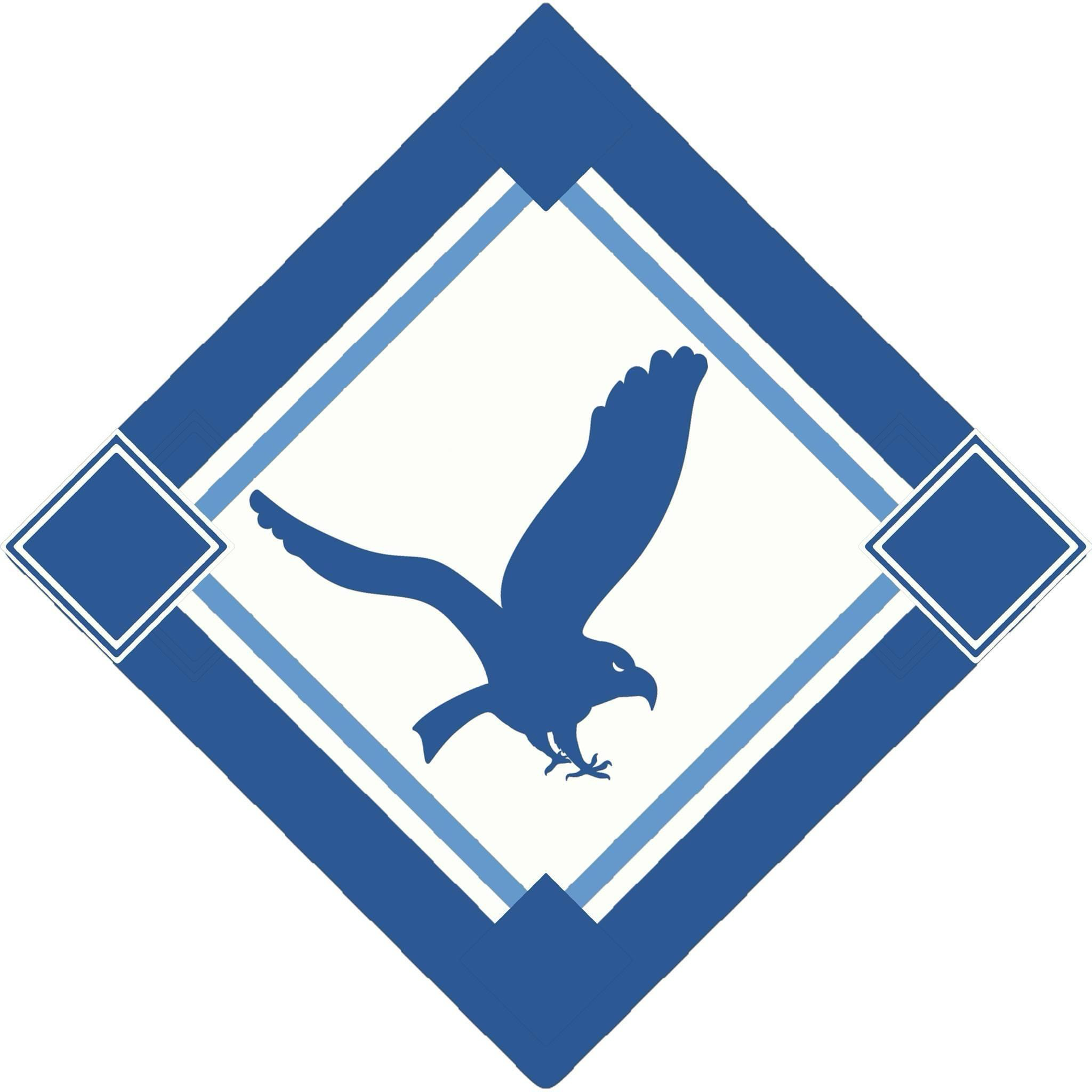 Logo for Blue Eagle Co Inc