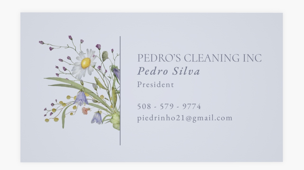 Avatar for Pedro's Cleaning Inc
