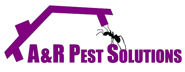 Avatar for A&R Pest Solutions