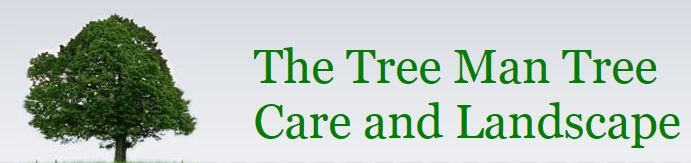 The Tree Man Tree Care & Landscaping logo
