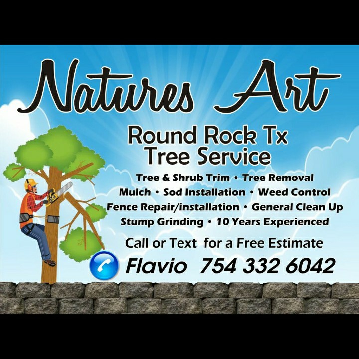 Nature's Art logo