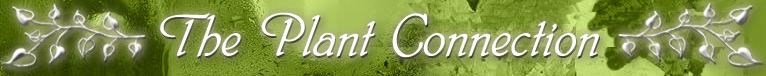 Avatar for The Plant Connection
