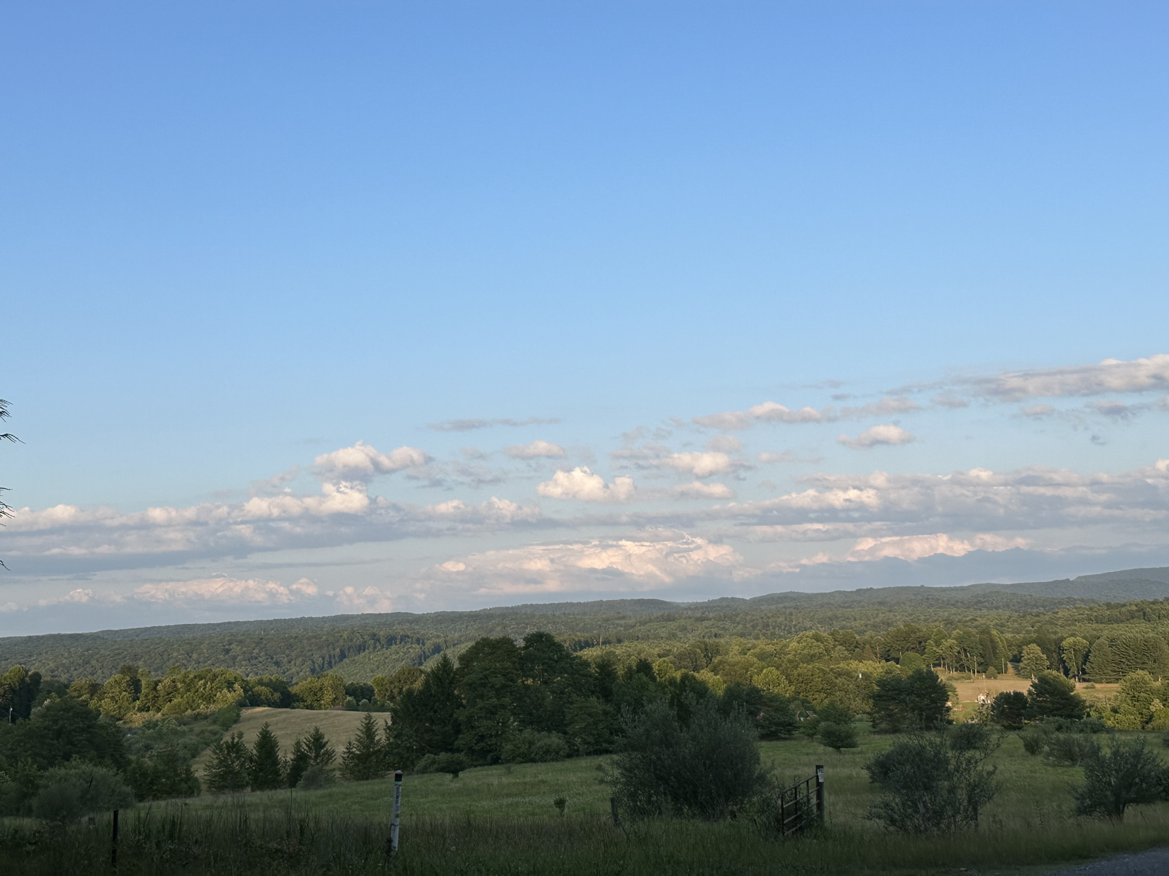 Avatar for Dirty hands construction company 