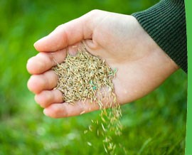 Logo for JT Turf Care