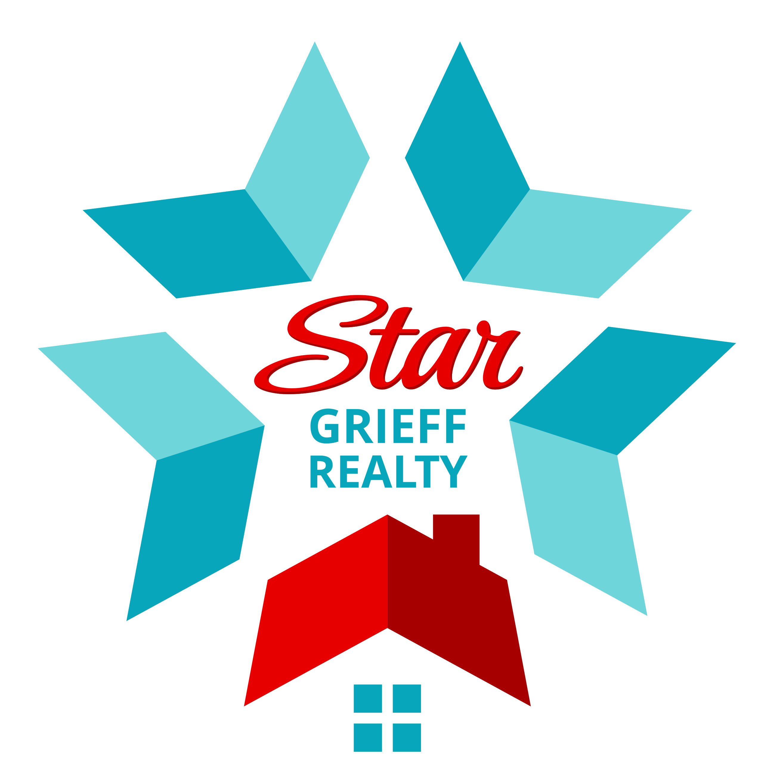 Niki Dransfeldt - Star Grieff Realty logo