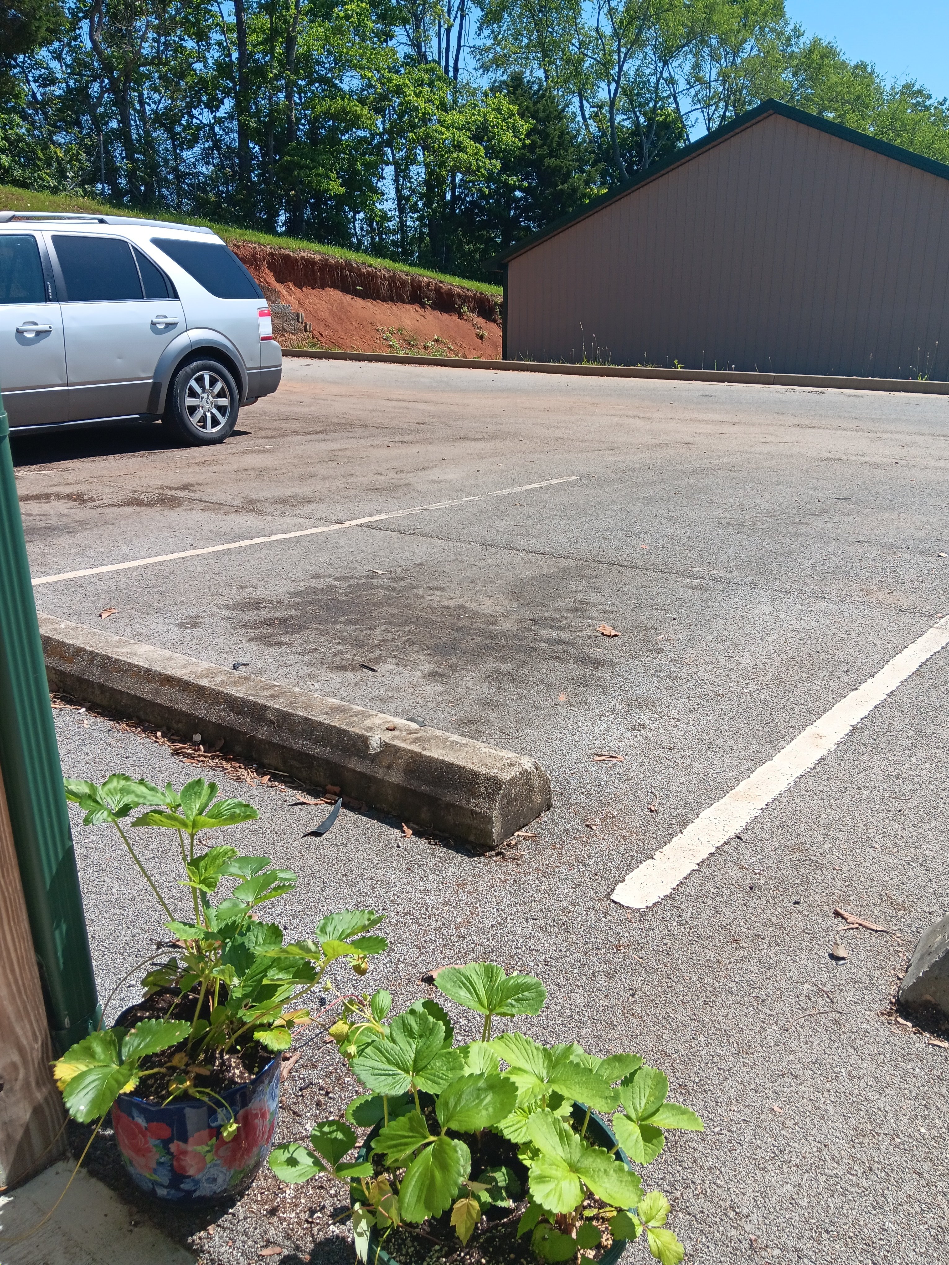 Avatar for Northern matinance 