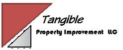 Avatar for Tangible Property Improvement