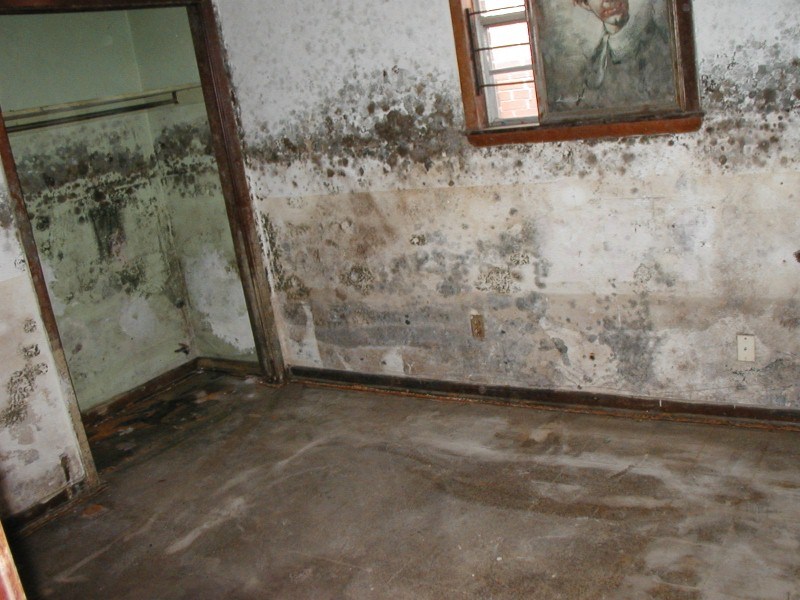Mold Damage