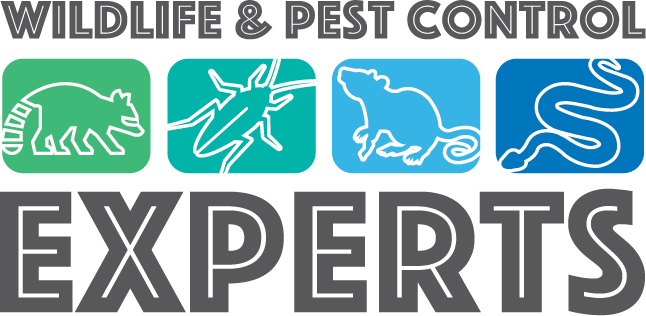 Avatar for Wildlife & Pest Control Experts