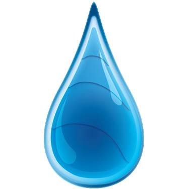 Pristine Window Cleaners logo